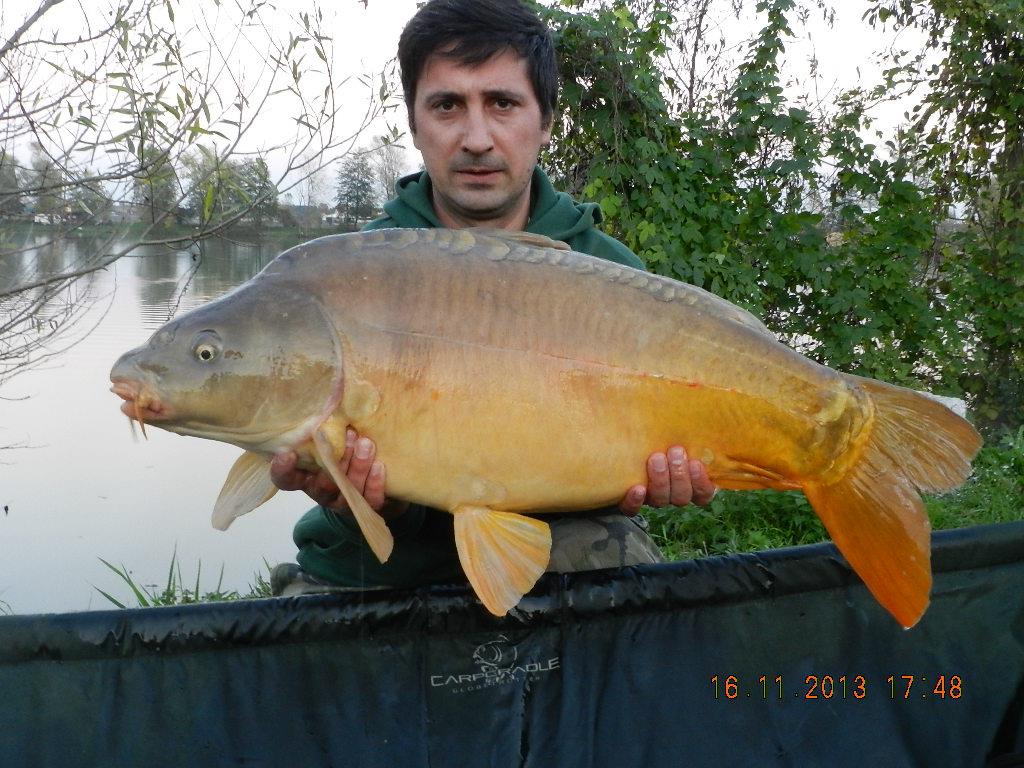 15 noiembrie 2013 - dscn1798.JPG